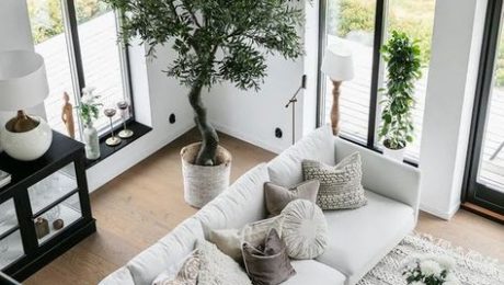 ff3121c83e07cbdc64a6712065b90e8c