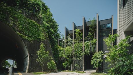 A-Peaceful-Japanese-House-Surrounded-By-Greenery A-Peaceful-Japanese-House-Surrounded-By-Greenery