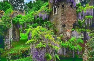 50-Of-The-Most-Breathtaking-Forgotten-Places-Shared-In-The.jpg