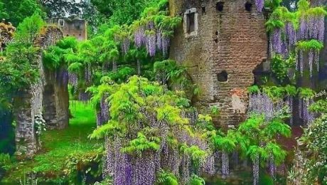 50-Of-The-Most-Breathtaking-Forgotten-Places-Shared-In-The.jpg