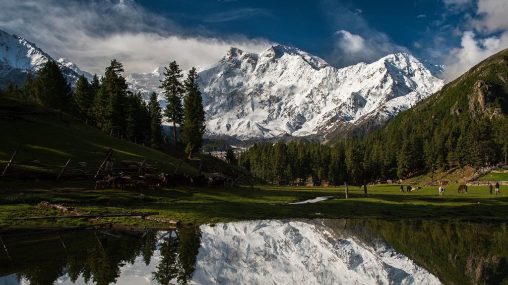fairy meadows A complete guide