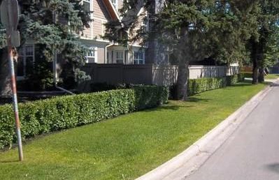 extra yard space for corner plot