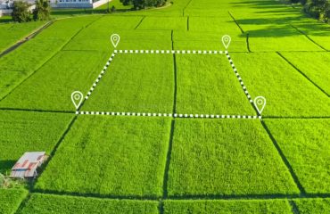 Buying-or-Building-a-House-Pros-and-Cons-of-a-Corner-Plot Buying-or-Building-a-House-Pros-and-Cons-of-a-Corner-Plot