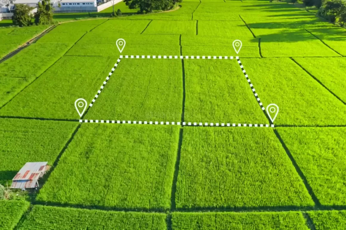 Buying-or-Building-a-House-Pros-and-Cons-of-a-Corner-Plot Buying-or-Building-a-House-Pros-and-Cons-of-a-Corner-Plot