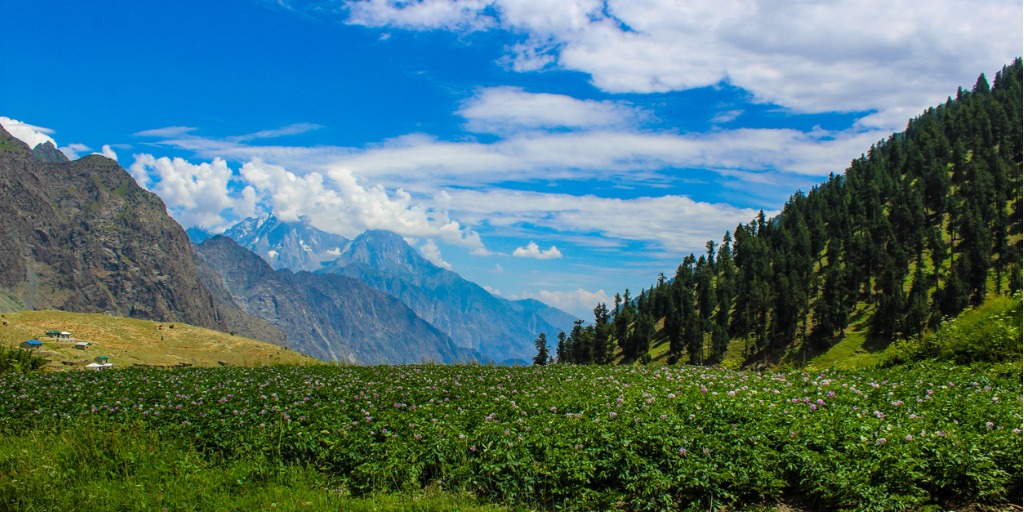 naltar valley