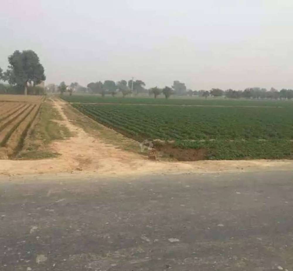 Agricultural Land For Sale 50 Acre 400 Kanal In Bahawalpur District 
