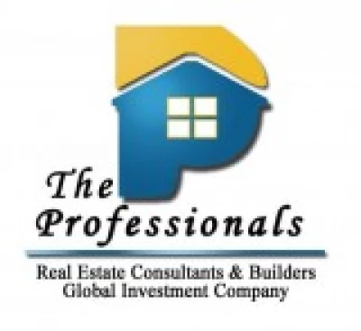 The Professional Builders