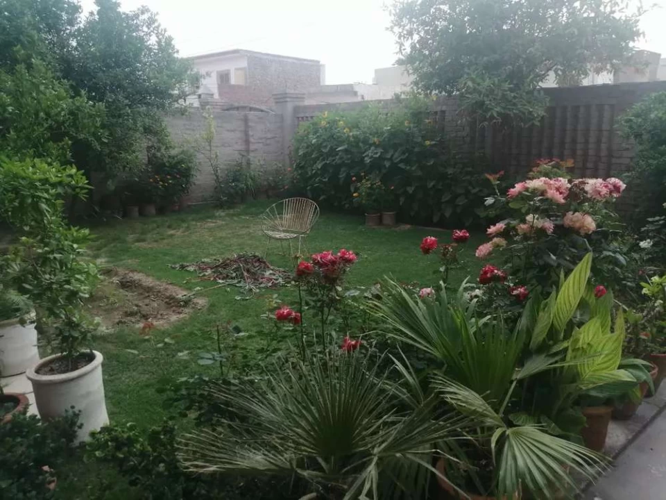 Beautiful house with garden and 10 to 15 rooms