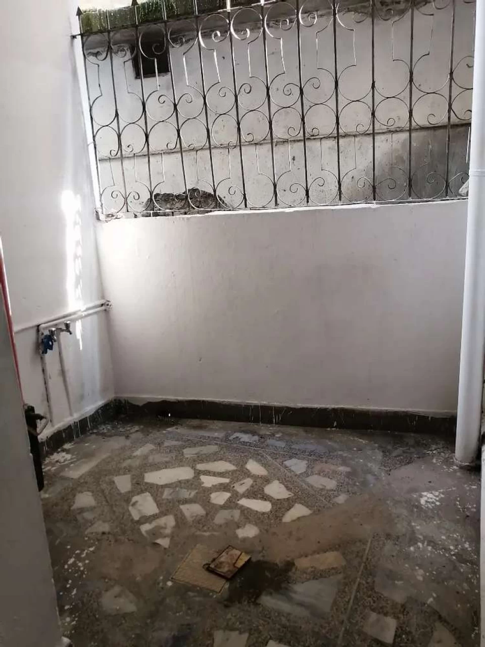 House for rent in kaghan colony