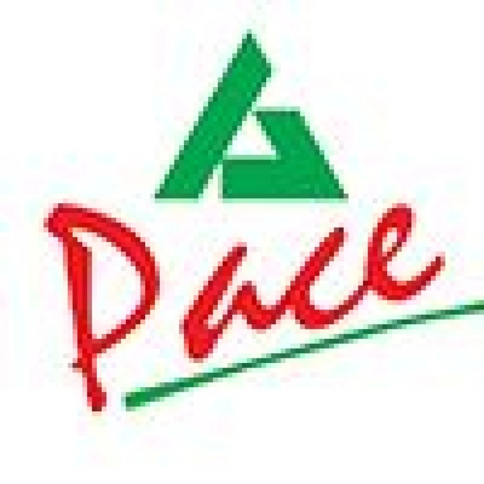 Pace Pakistan Limited