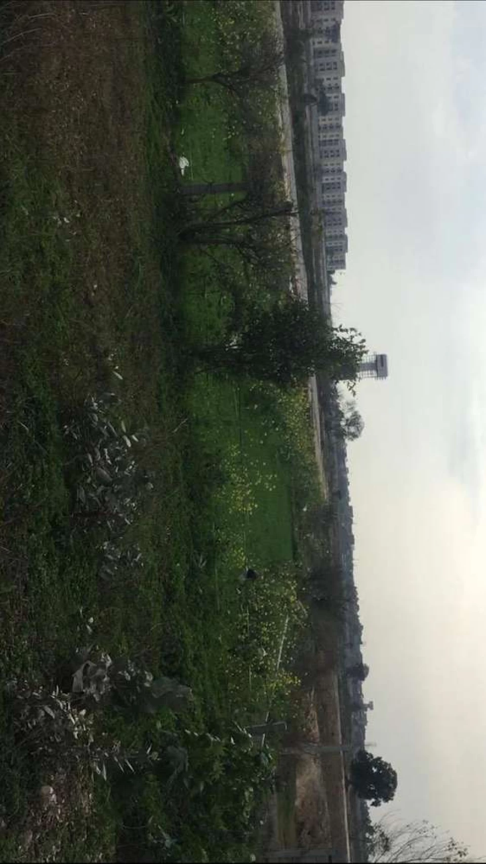 DHA 9 prisam B block plot only 72lac