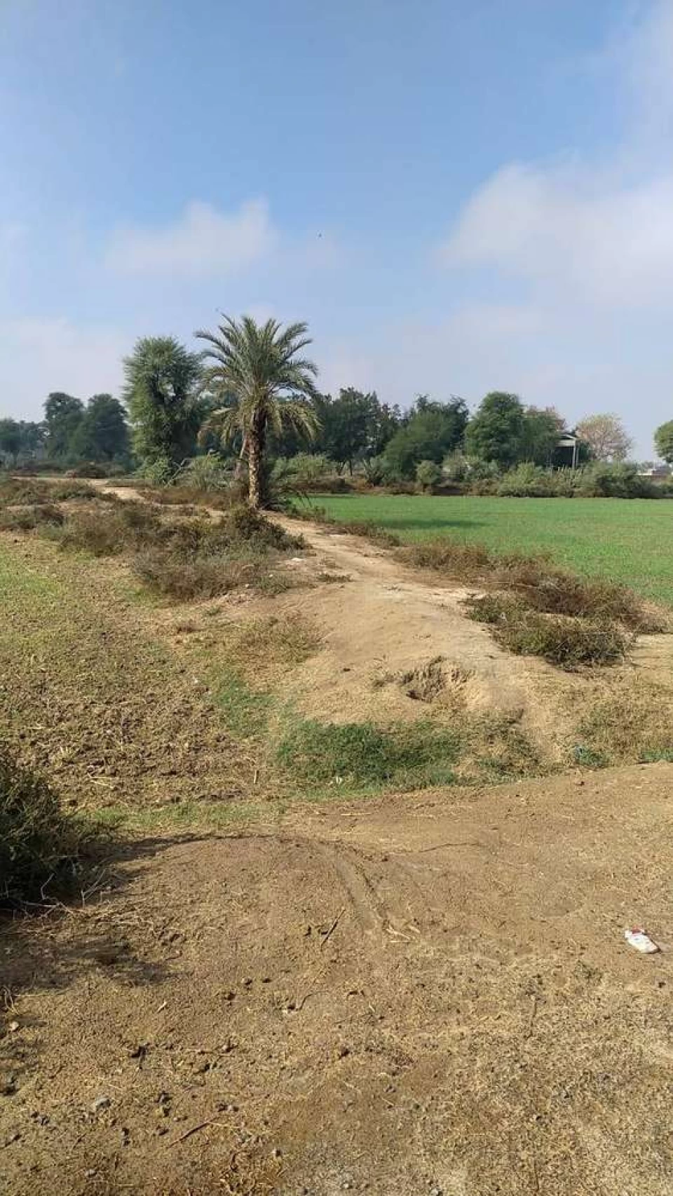 1 Kanal Plot on top location. Cheap price.